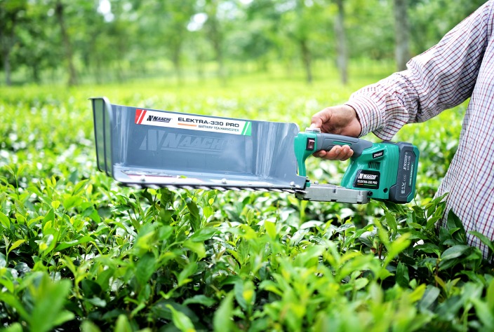 WhatsApp Image 2026-02-20 at 6.29.20 PM