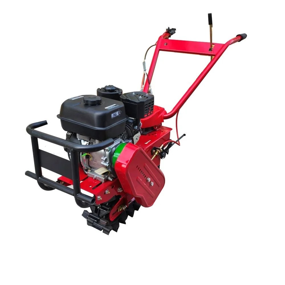 WhatsApp Image 2026-02-21 at 5.40.34 PM